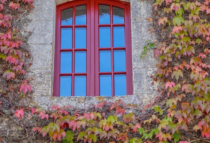 abrso-chateau-carbonnieux-fenetre